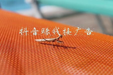 抖音赚钱接广告