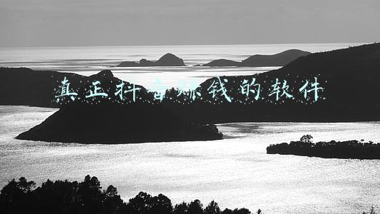 真正抖音赚钱的软件