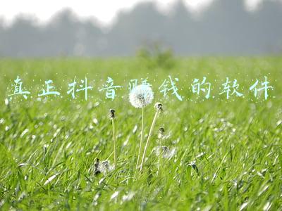 真正抖音赚钱的软件