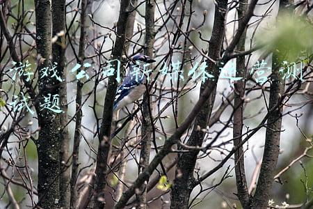 新媒体运营章节测试答案(新媒体运营必知：影响阅读量的8个要素)