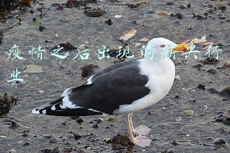 疫情之后出现的新兴行业