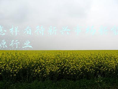 如何看待新能源汽车(充电还是换电，谁才是新能源汽车的未来？)