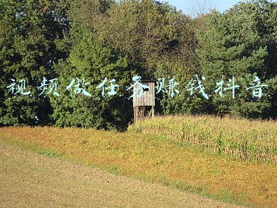 视频做任务赚钱抖音