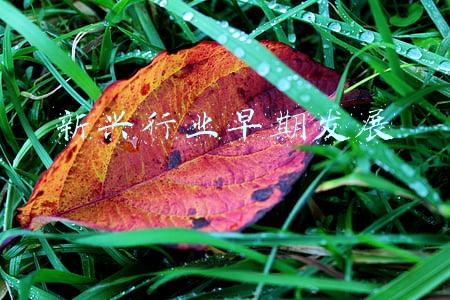 新兴行业早期发展