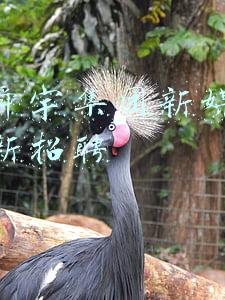 余姚舜宇集团电话号码(宁波余姚舜宇集团创始人王文鉴是怎么起家的？)