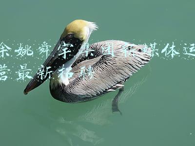 余姚舜宇集团新媒体运营最新招聘