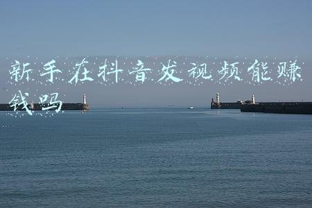新手在抖音发视频能赚钱吗