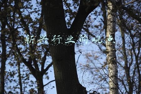 新兴行业的观点