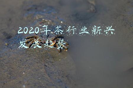 2020年茶行业新兴发展趋势