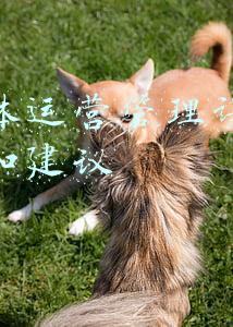 新媒体运营管理课程的意见和建议