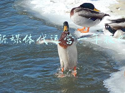 新媒体代运营一年报价 新媒体代运营一年报价