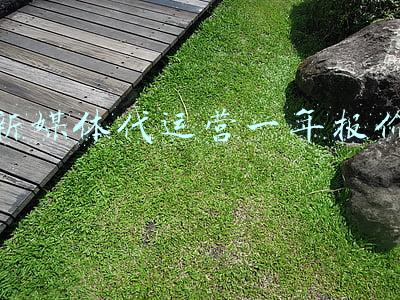 新媒体代运营一年报价 新媒体代运营一年报价