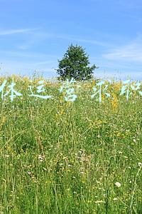 新媒体运营求职避坑