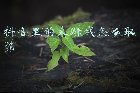 抖音上面的来赚钱怎么取消(“空气炸锅第一股”上市引争议，赚钱主要靠代工，产品被指智商税)