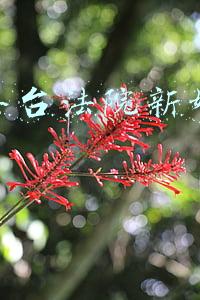 北京丰台法院新媒体运营
