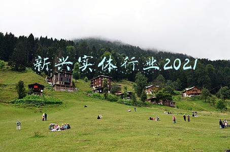 新兴实体行业(复盘2021：零售圈十大新业态)