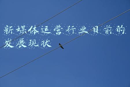 新媒体运营行业目前的发展现状