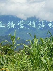 快手策划品牌营销方案(317快消品牌营销策划案（25份）)