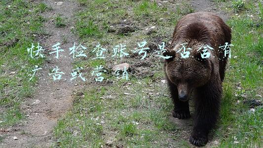 快手检查账号是否含有广告或营销