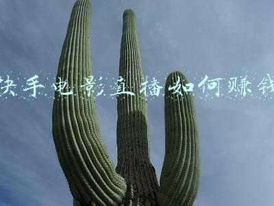 快手电影直播如何赚钱