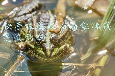 快手极速版看看能赚钱是真的吗