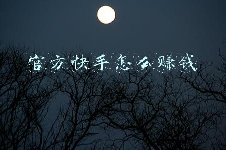 官方快手怎么赚钱
