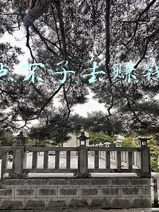 我的快手没有去赚钱功能(快手不给流量，还要自己花钱买！辛巴起诉快手给自己限流)