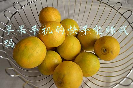 快手没有赚钱功能(什么你还在刷不能赚钱的快手？)