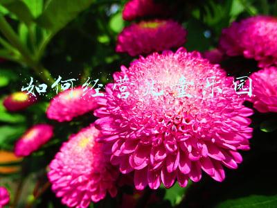 室内儿童乐园如何经营，室内儿童乐园投资怎么做
