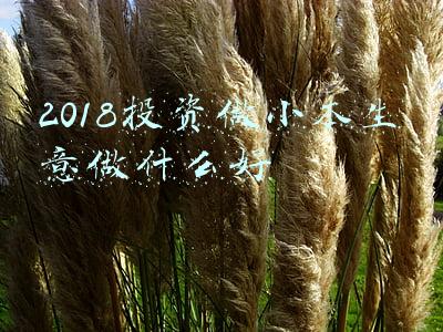 2018投资做小本生意做什么好