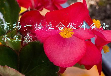 商场一楼适合做什么小本生意