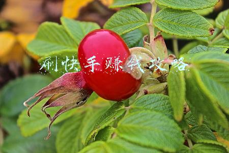 刷快手有钱赚吗(你刷视频一分钟，快手能赚多少钱？)