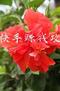 刷快手赚钱是什么套路(刷单被骗14.9万元 无棣警方第N次提醒：抖音、快手刷单兼职，都是诈骗)