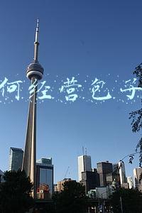 如何经营小农场；如何经营一家农场