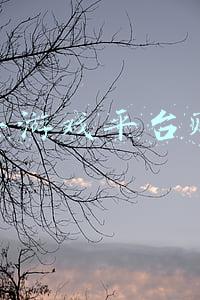 快手游戏平台赚钱