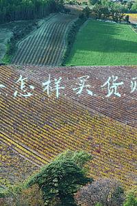 快手怎样买货赚钱