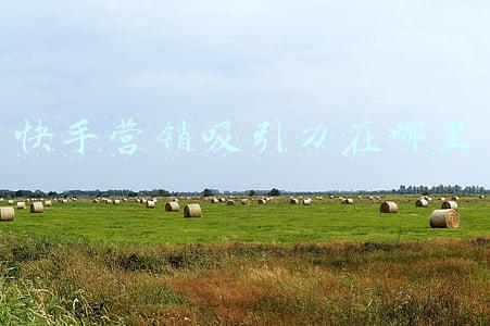 快手吸引人的话题(上热搜了！这些直击灵魂的话题快手新知都能解答)