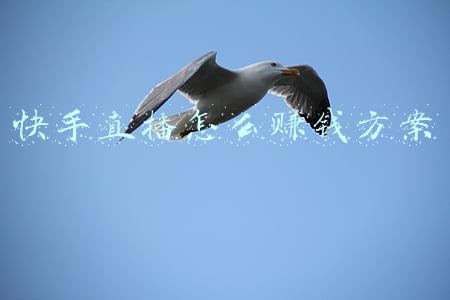 快手直播怎么赚钱方案 快手直播怎么赚钱方案