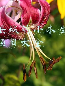 适合县城的小本生意加盟好项目大全