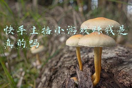 快手主播小游戏赚钱是真的吗