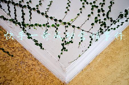 揭秘快手网红那些破事(揭秘快手网红背后，那些你所不知道的秘密，下一个田斌会是谁？)