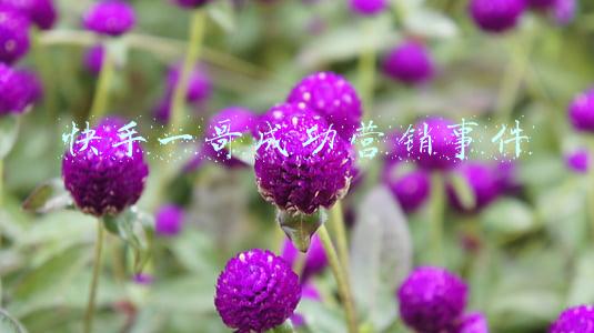 快手一哥辛巴(最后一战？辛巴和快手终究选择了对簿公堂)