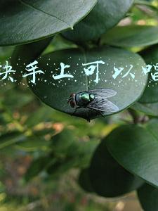 快手上唱歌视频咋录的(揭秘丨快手敲钟现场，这6个人是谁？)