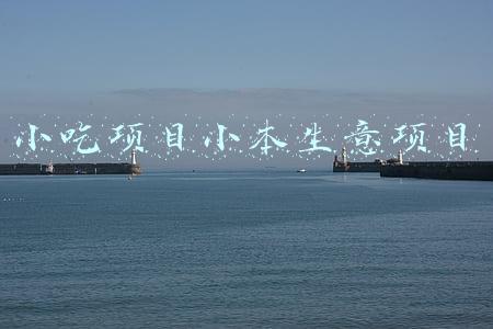 创业小项目小吃(2021年返乡创业，这12个项目适合农村发展，看看哪些适合你？)