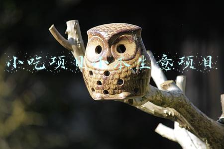 致富项目小本生意(“黄金万两财通四海”，适合做生意养的6款植物，寓意超好)