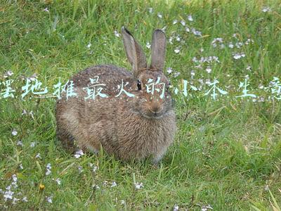 摆地摊最火的小本生意