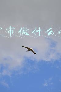 在南宁市做什么小本生意