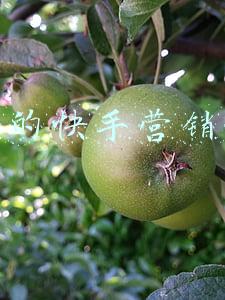 快手优质女头(广西90后小姐姐又美又飒，在快手直播“手起刀落”，上万老铁天天围观)