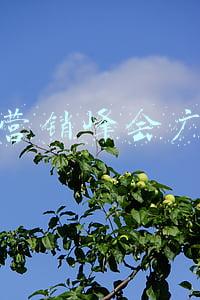 广州火车站(广州火车站春运攻略：最高峰1月26日，涉疫地区抵穗旅客免费核酸)