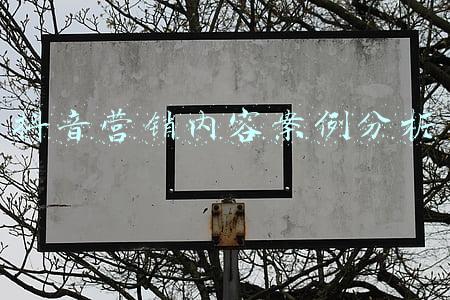抖音营销内容案例分析